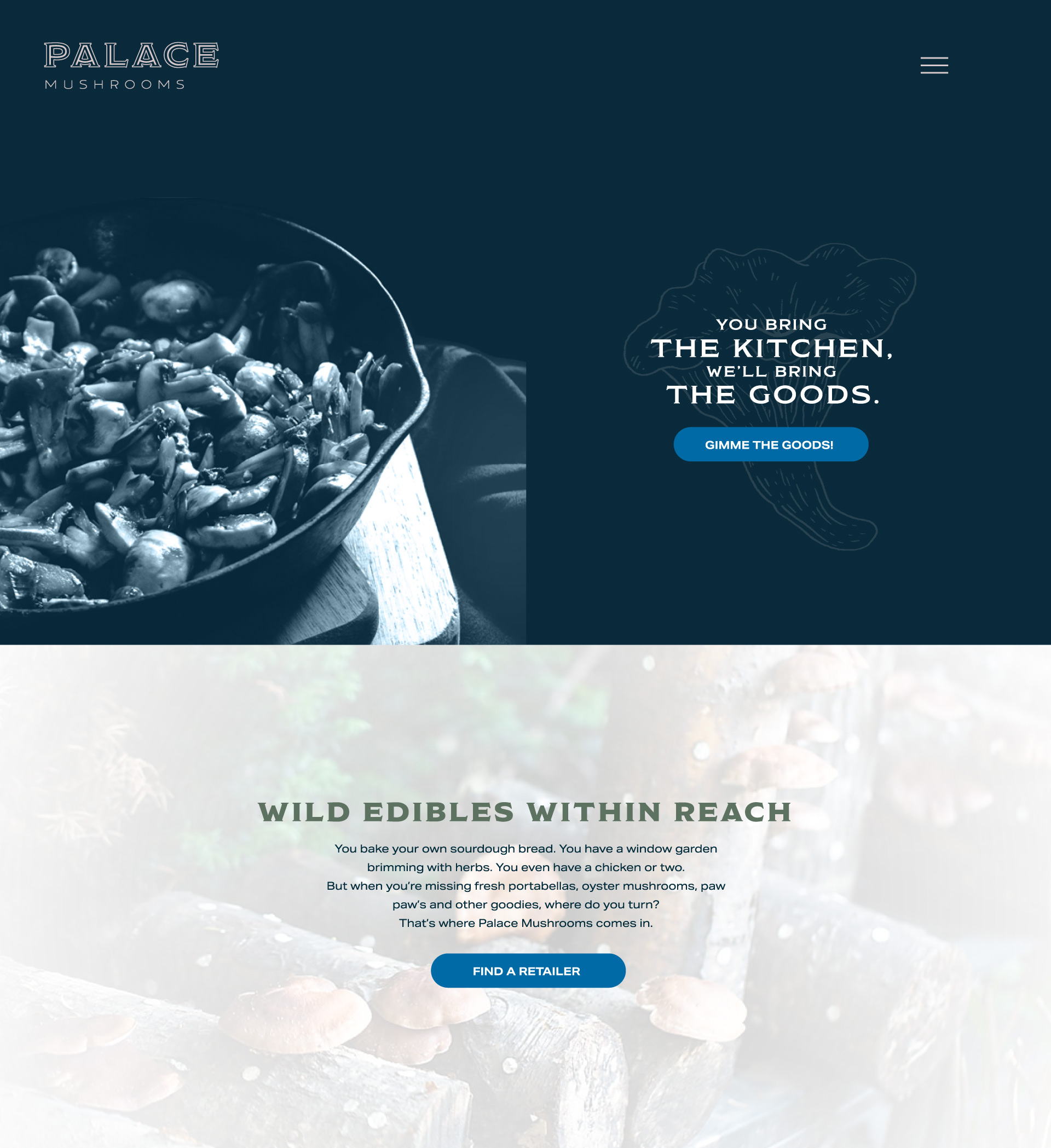 PM_Website-Design_02-1